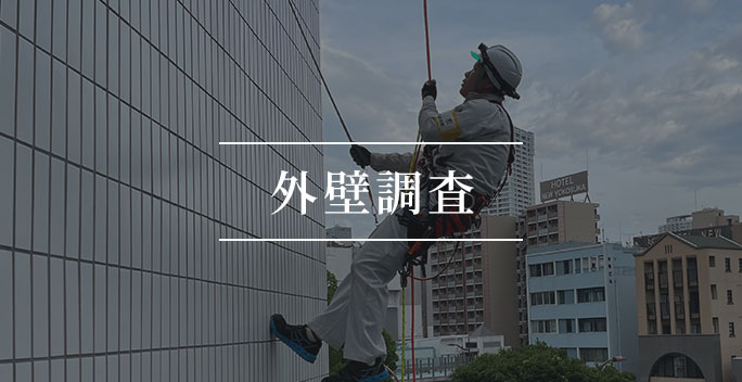 外壁調査